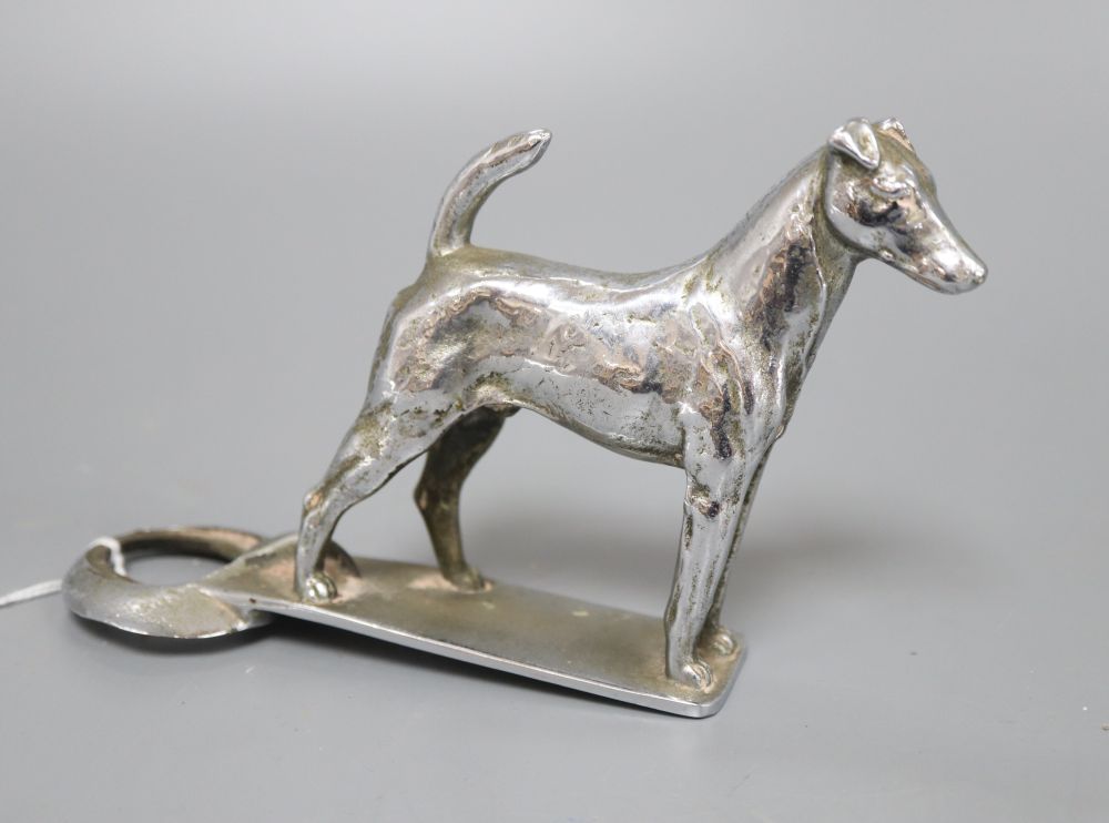 A vintage plated metal smooth fox terrier car mascot, height 10cm